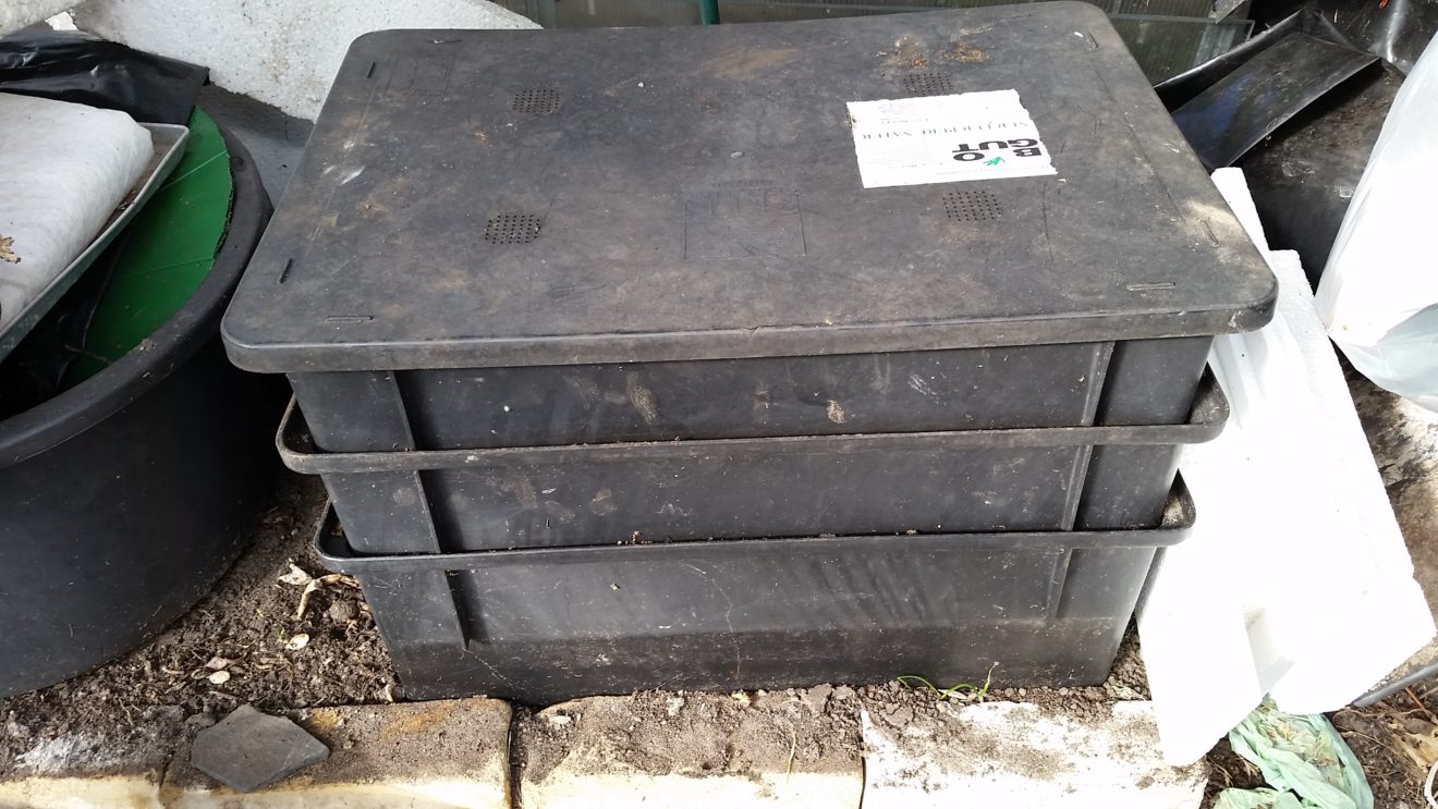 Wurmfarm überwintert im Gewächshaus – Ökopieper